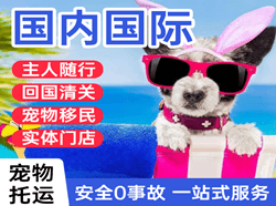 泉州机场物流国际宠物托运 【国